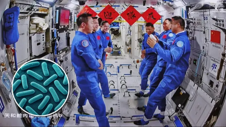 Niallia tiangongensis, una bacteria encontrada a bordo de la estación Tiangong