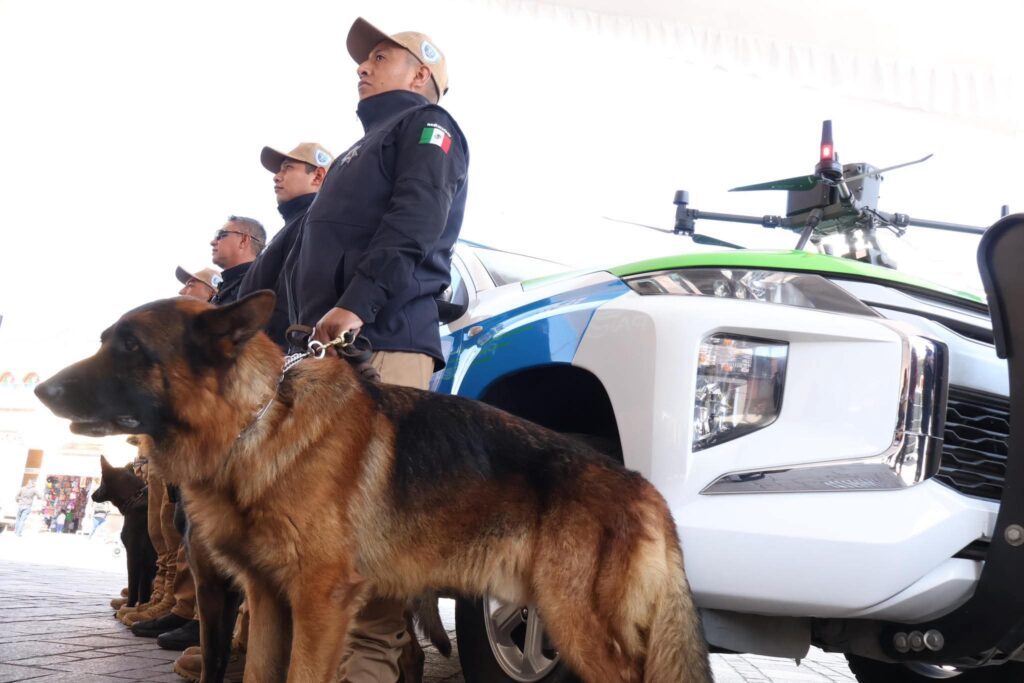 Metepec da un paso histórico en la protección ambiental y animal
