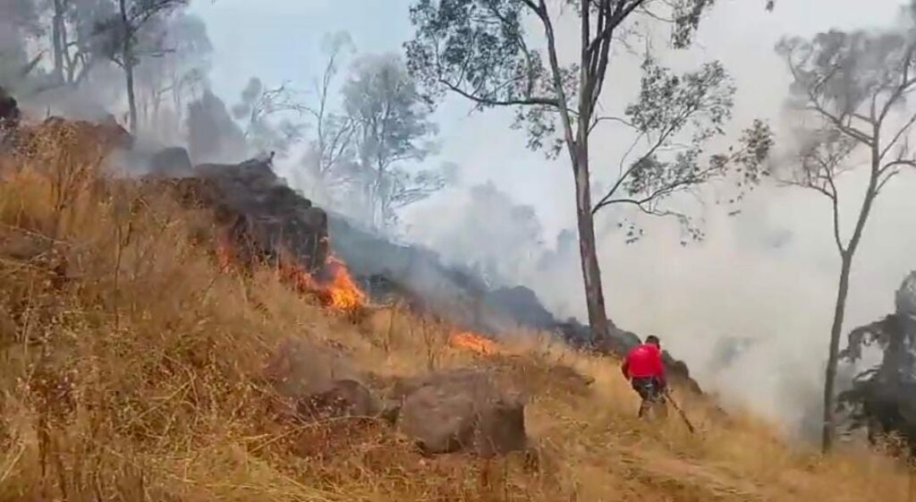 Bomberos de Toluca  combaten incendio en La Teresona