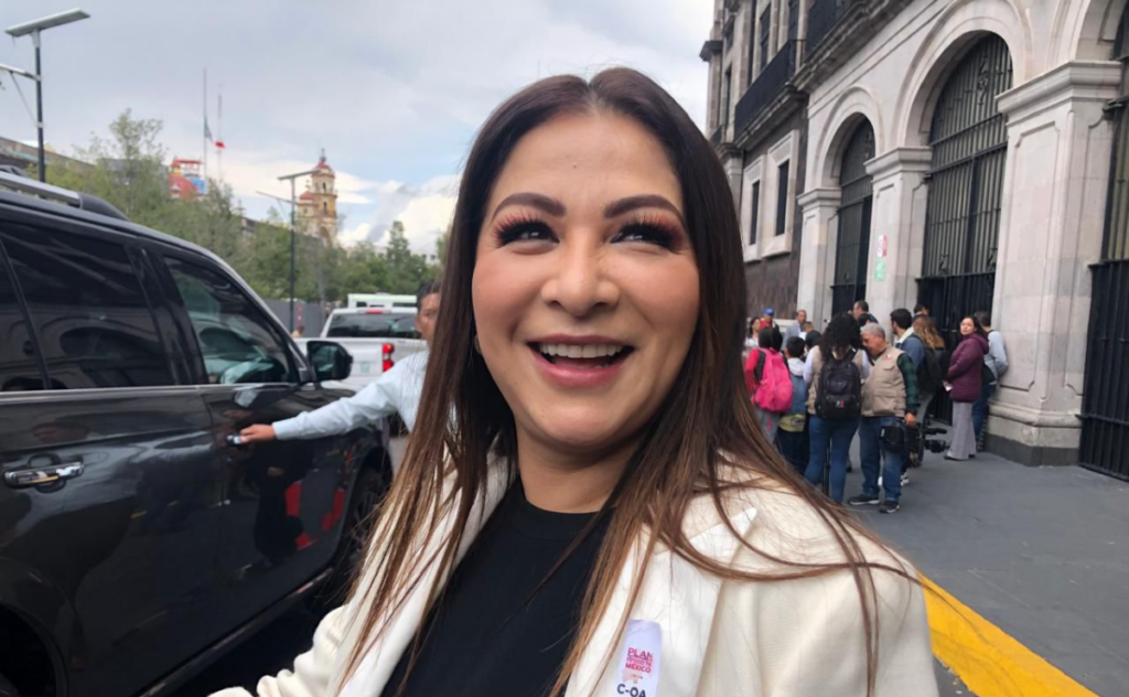 Myrna García Morón pide licencia en la Codhem para competir en Elección Judicial