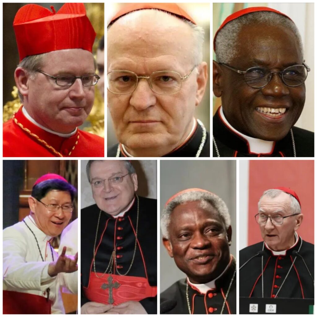 ¿Quién podría sustituir al Papa Francisco?