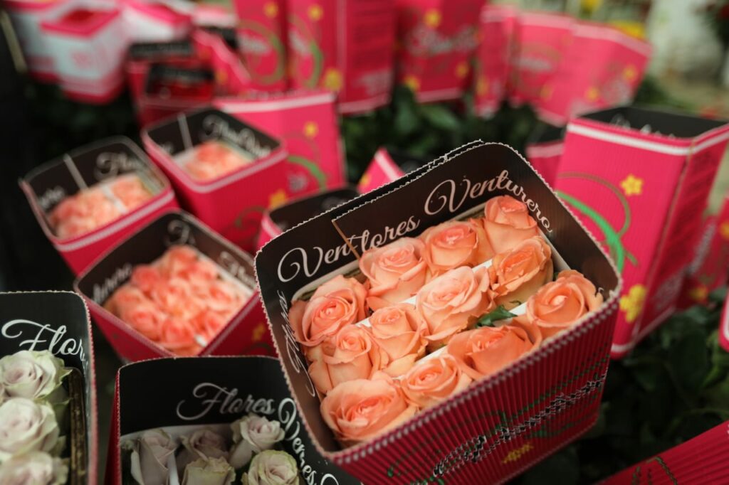 Flores mexiquenses para mamá