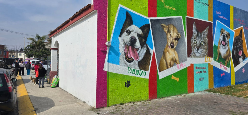 Inicia labores la extensión nororiente del Centro de Control y Bienestar Animal en Toluca