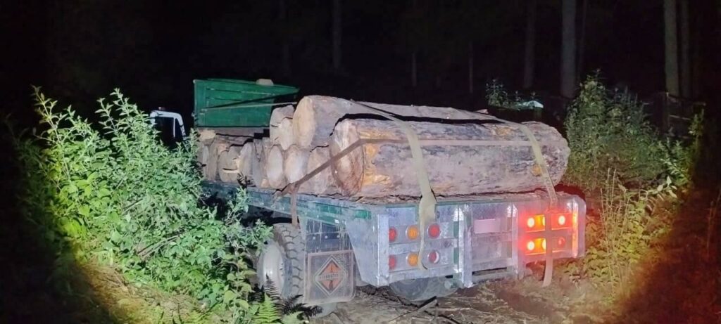 Talamontes abandonan en Texcaltitlán camiones cargados con madera