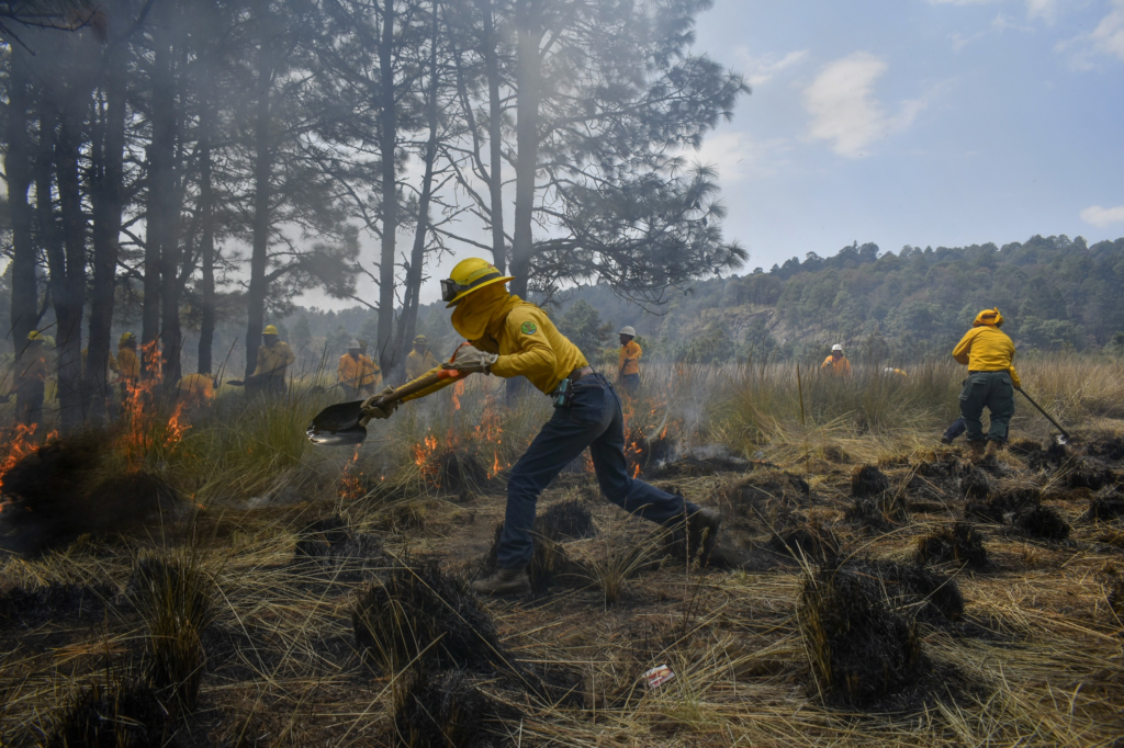 GEM castigará hasta con 10 años de cárcel a quien provoque incendios forestales