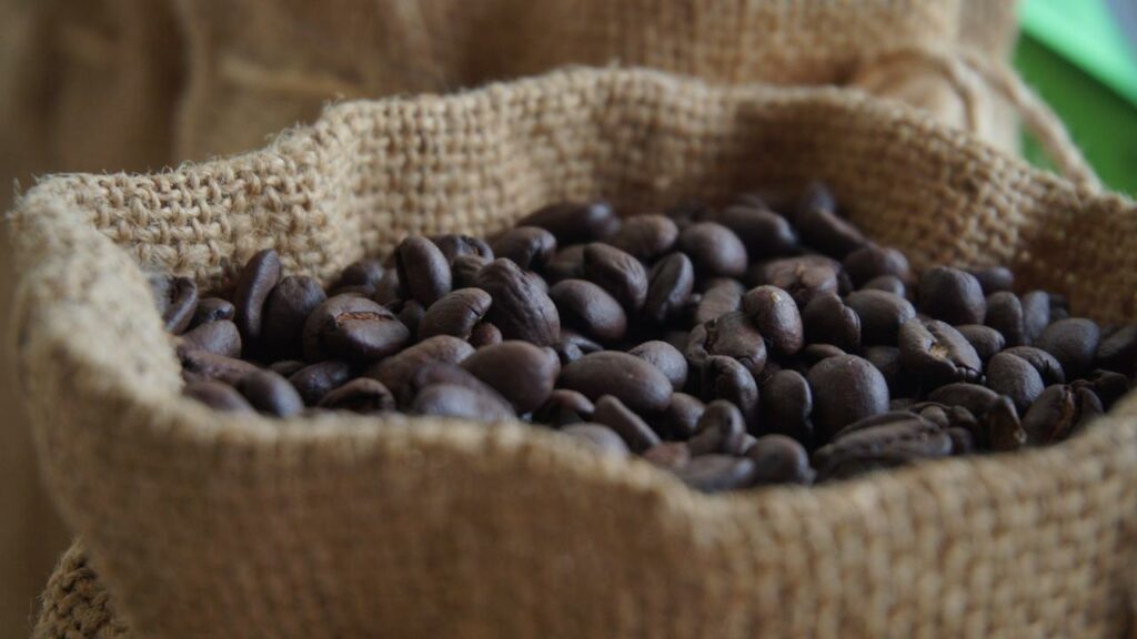 Conquista café de Temascaltepec el mercado japonés