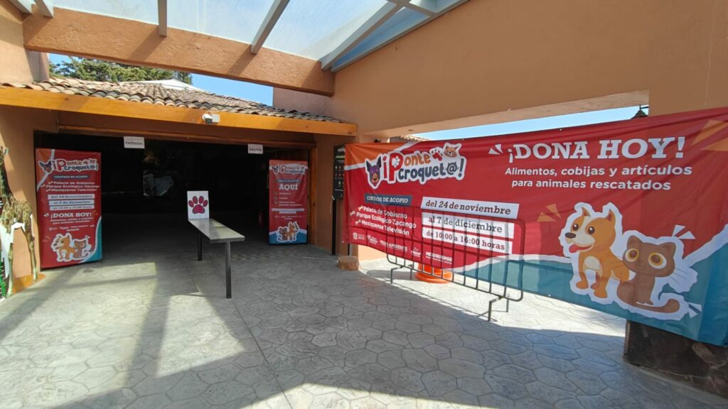 GEM te invita a unirte a la campaña #PonteCroquet@ y ayudar a lomitos y michis rescatados