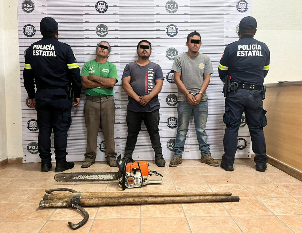 Detienen a tres hombres probables responsables de delitos contra el medio ambiente