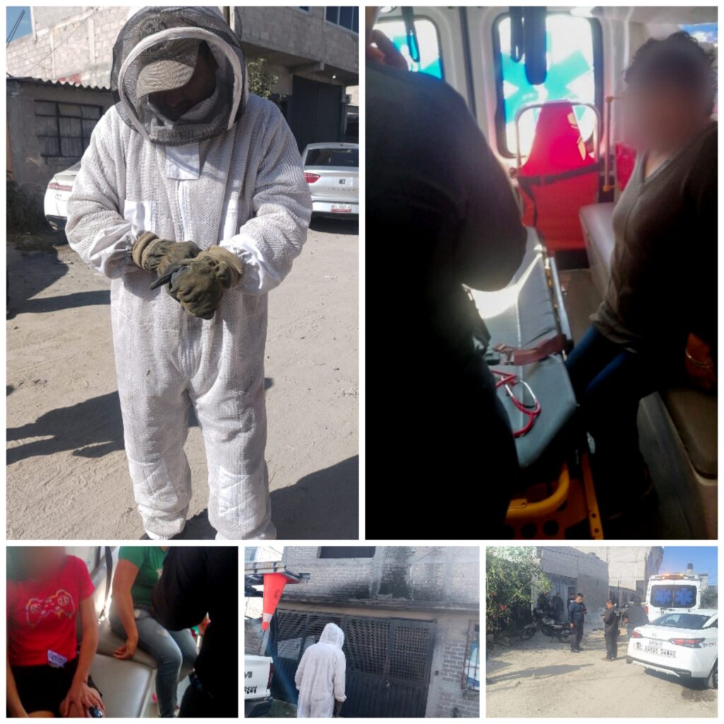 Enjambre de abejas atacan a siete personas en Ecatepec