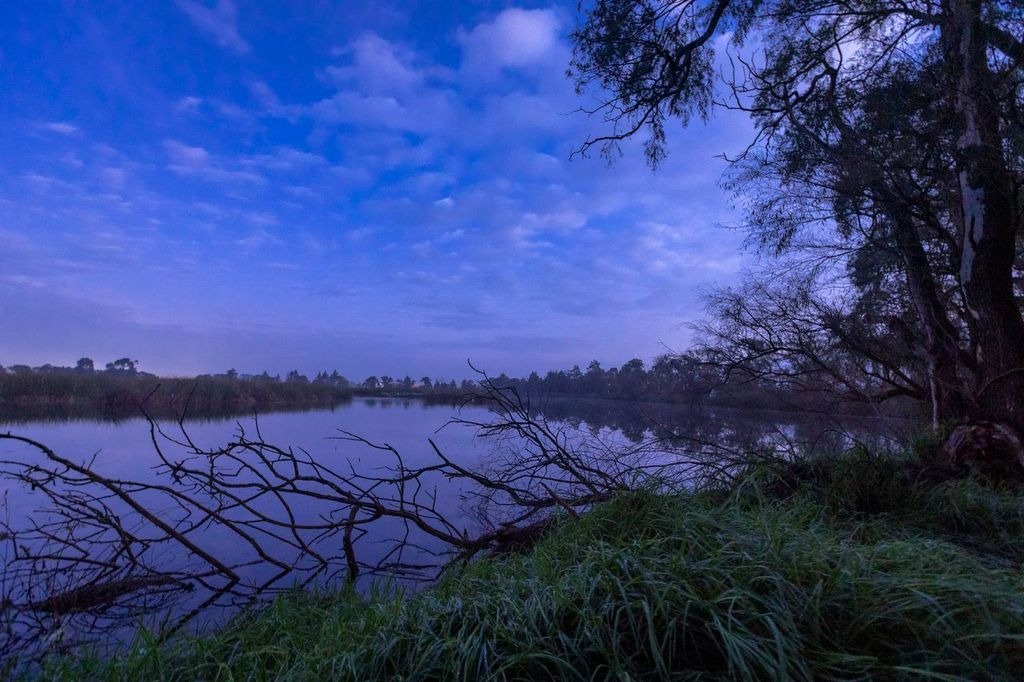 UAEMéx protege el humedal “Las Maravillas” frente a la contaminación del río Tejalpa
