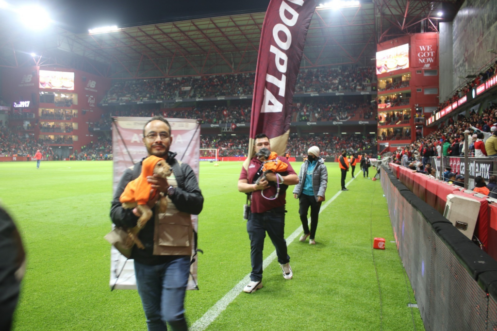 Exhortan a los mexiquenses adoptar perritos en partido de fútbol Toluca vs América