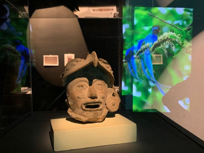 México y Marruecos unidos por el arte y la naturaleza