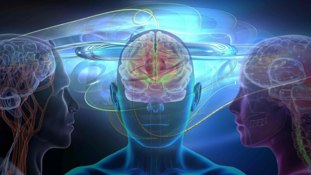 La muerte y el cerebro: ¿Qué sucede realmente?