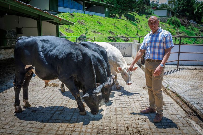 Expertos UAEMéx proponen praderas multiespecie en el sur mexiquense para optimizar producción de forraje