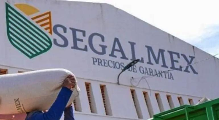 Gobierno Federal intensifica las investigaciones en torno al desfalco de 15 mmdp en Segalmex