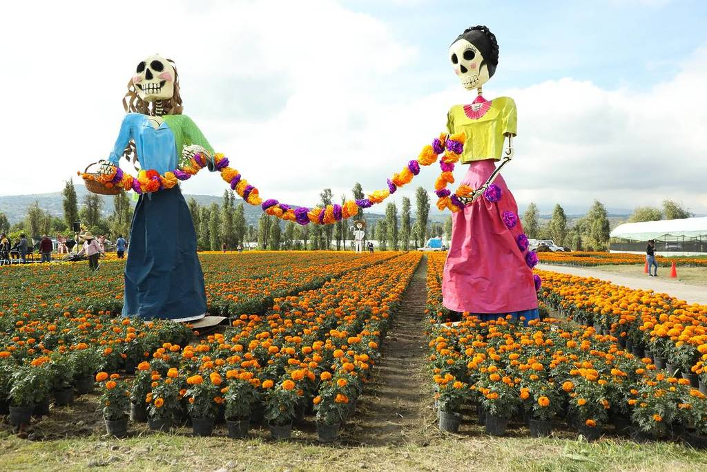 Campos florales adornados por catrinas gigantes en San Luis Tlaxialtemalco