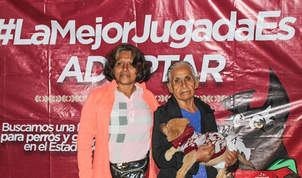 64 lomitos y michis encuentran hogar con “La Mejor Jugada es Adoptar”
