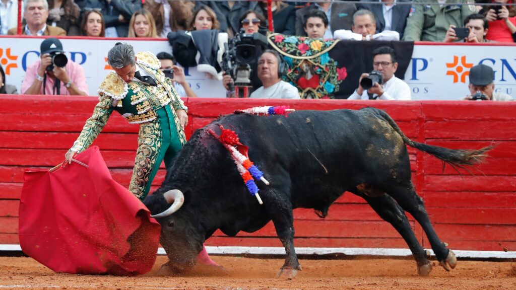 Continuarán pero sin sangre corridas de toros en la CDMX