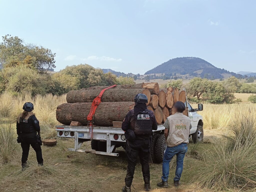 Aplica Edoméx operativo contra tala ilegal