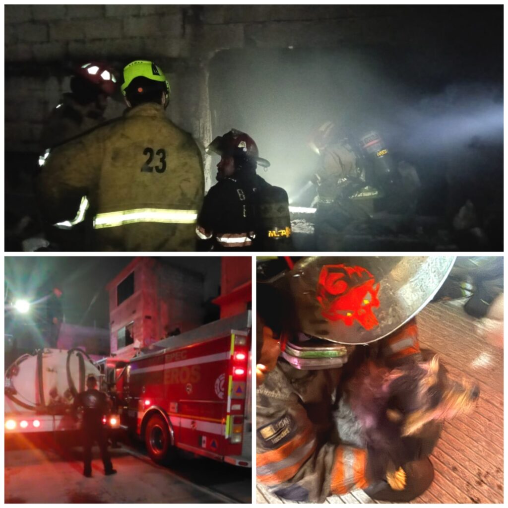 Controlan incendio en fábrica clandestina en Almárcigo Sur; rescatan gatos y un perrito