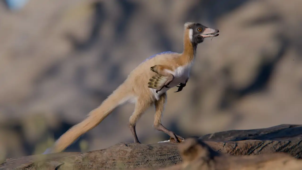 Un dinosaurio del tamaño de una gallina reescribe la historia del T. rex