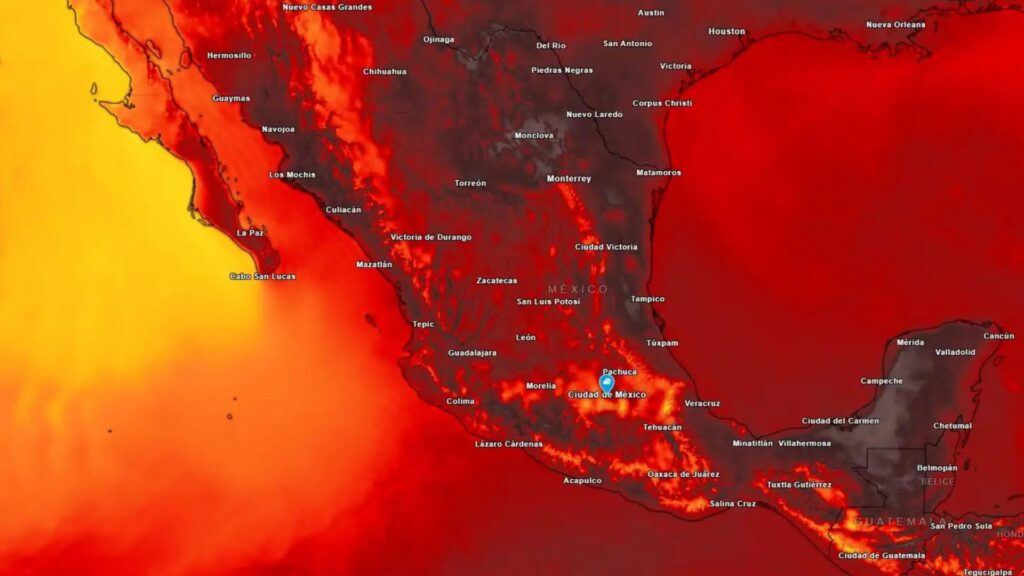 OMS detalló que las fuertes olas de calor ocasionan más de 540 mil muertes cada año mundialmente