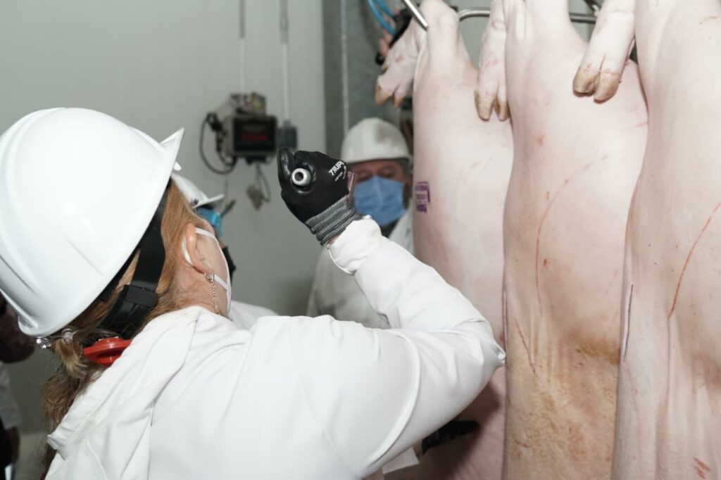 Mantienen supervisión permanente en los 76 rastros municipales del Edomex para asegurar la venta de carne limpia