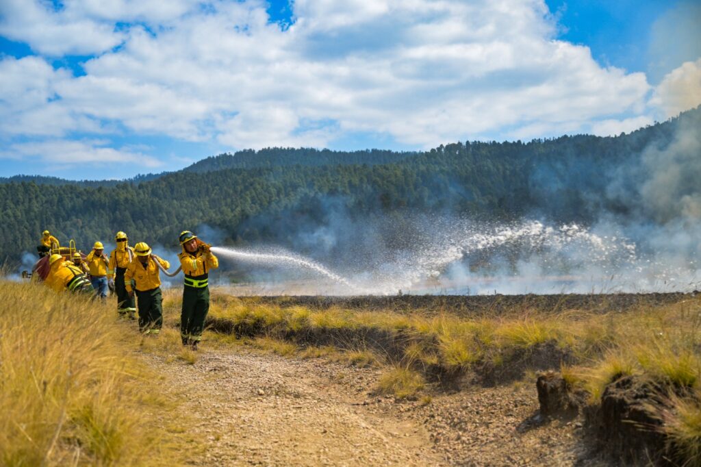 Urgen a evitar incendios forestales durante Semana Santa