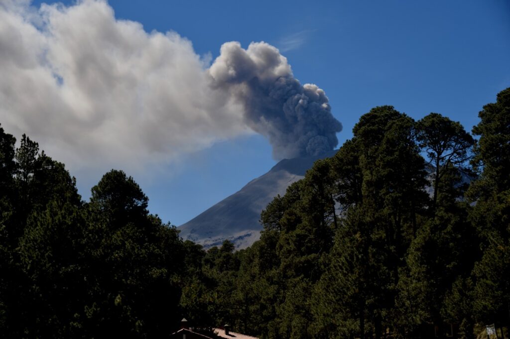 Suma Edoméx acciones para combatir el cambio climático