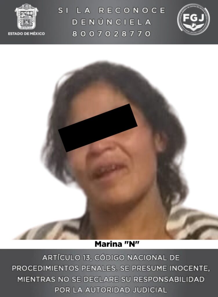 Aprehenden a mujer por maltratar gatito