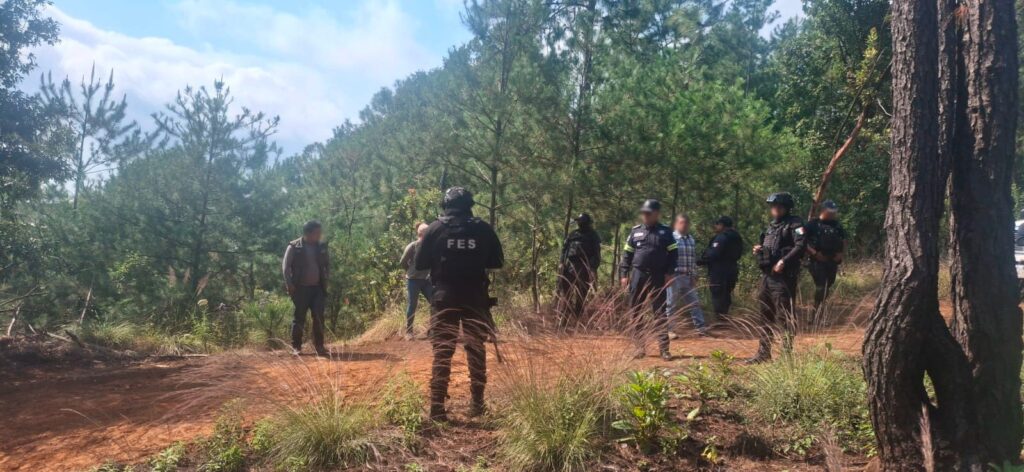 Despliegan operativo contra tala clandestina y cazadores en bosques mexiquenses