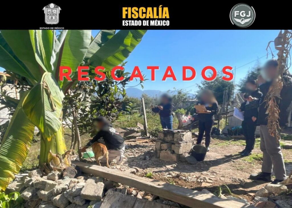 Rescatan en Valle de Bravo a dos lomitos  desnutridos