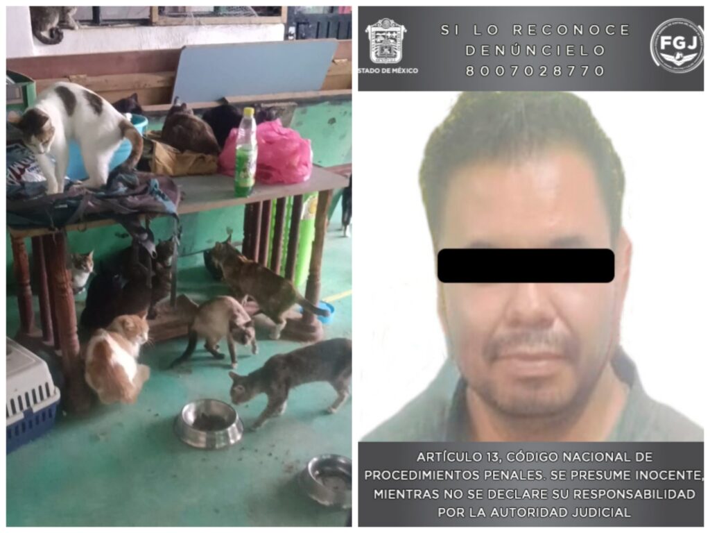 Detienen a probable implicado en maltrato animal