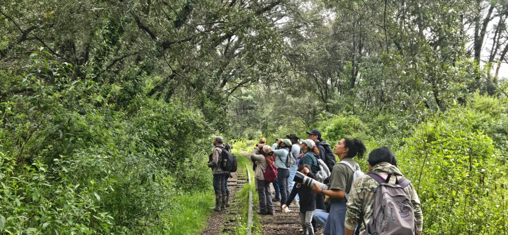 El Parque Matlazincas invita a conocer la riqueza avifaunística del Valle de Toluca