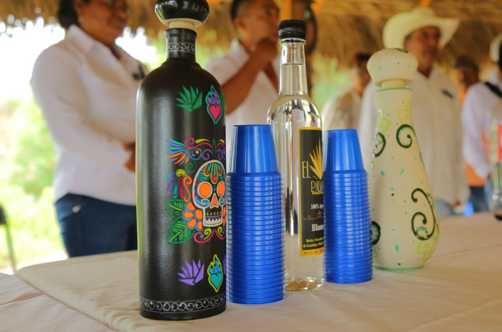 Preparan programa para asesorar a productores mezcaleros en su proceso de certificación