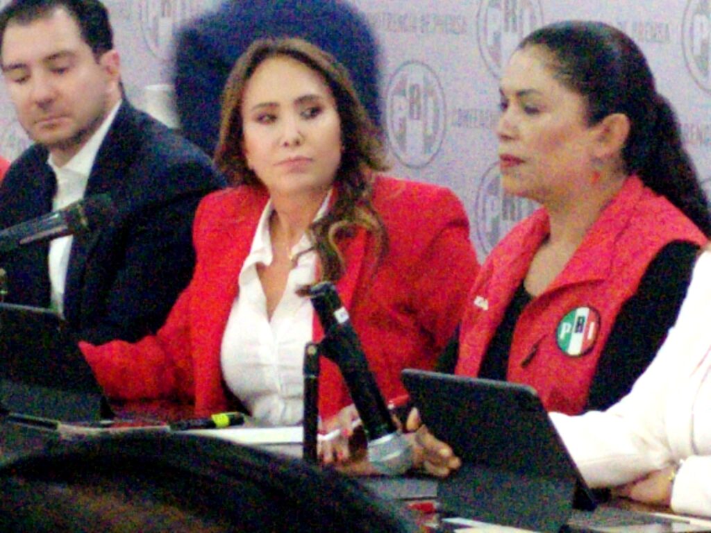 PRI Edoméx demandará anulación de elección judicial: Cristina Ruiz