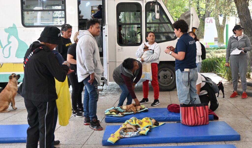 Esterilización y vacunación de perros y gatos llega a tres comunidades del norte de Toluca