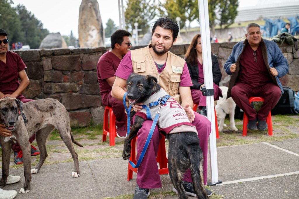 Se suma Festival Cultural TransformARTE a campañas de adopción responsable de lomitos