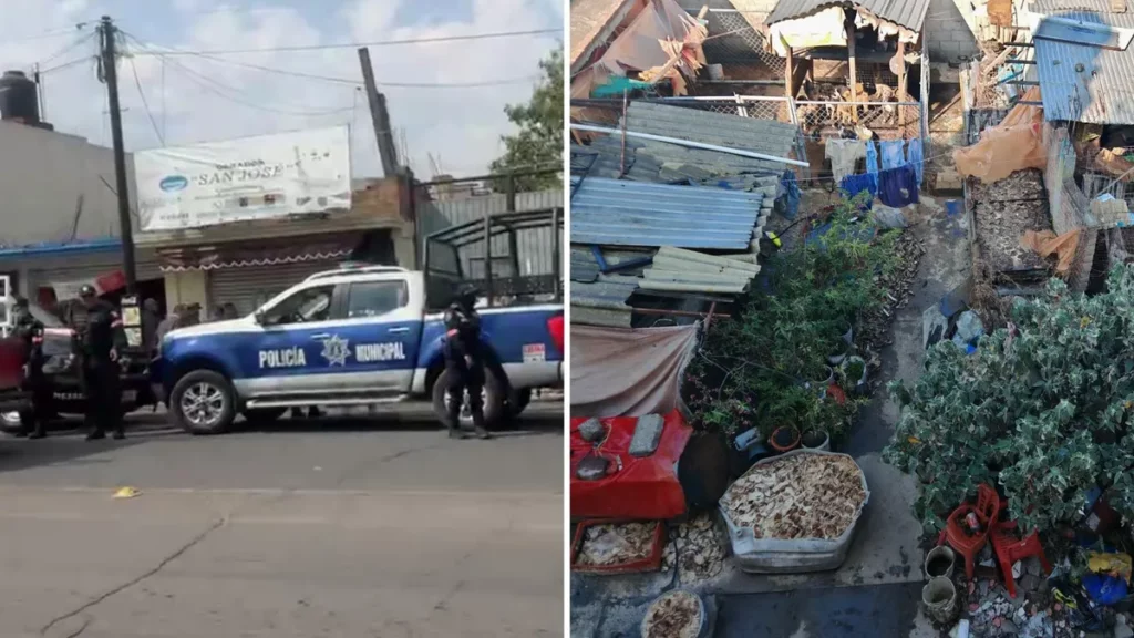 Rescatan al menos 100 perros en Mexicaltzingo; encuentran restos de animales sacrificados