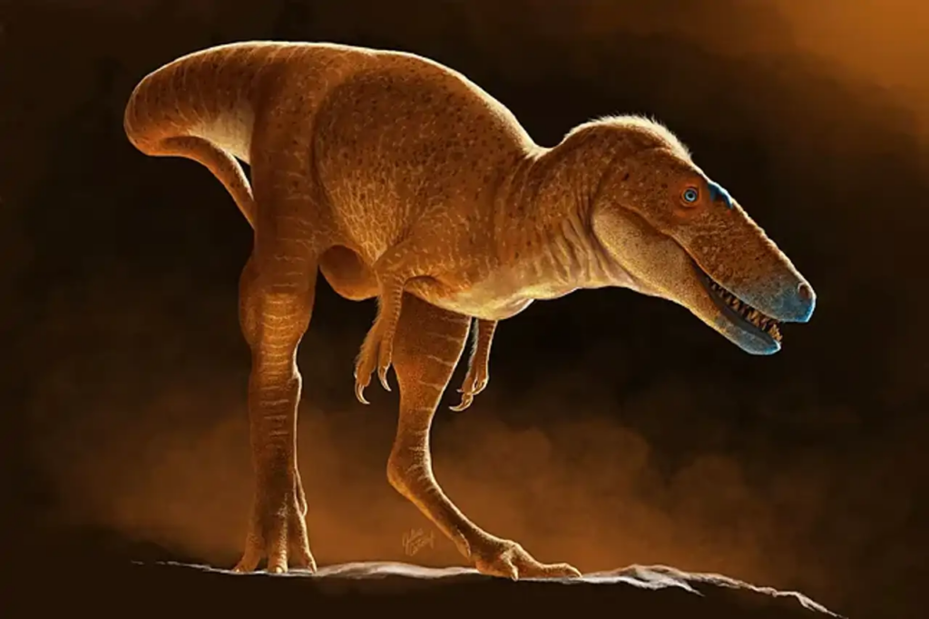 Dinosaurio Khankhuuluu mongoliensis, antepasado del Tyrannosaurus Rex