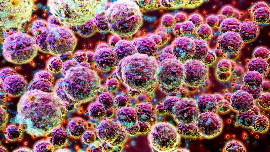 Bacteria carnívora deja 77 fallecidos en Japón hasta el momento