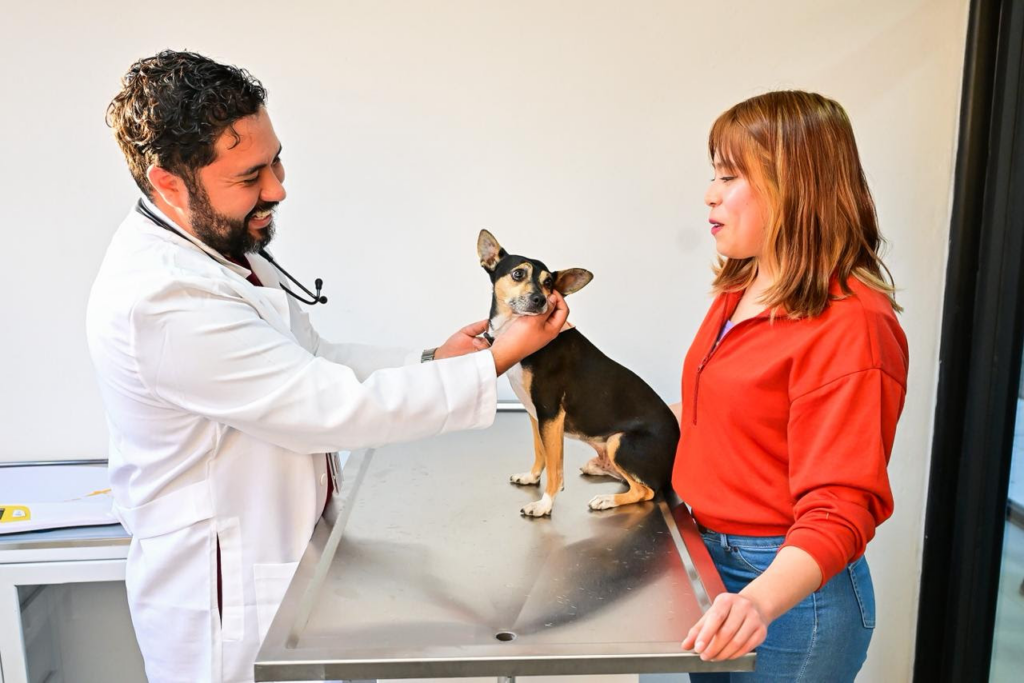 Bienestar, justicia y protección animal: llevaron apoyos a millones de personas en 2025