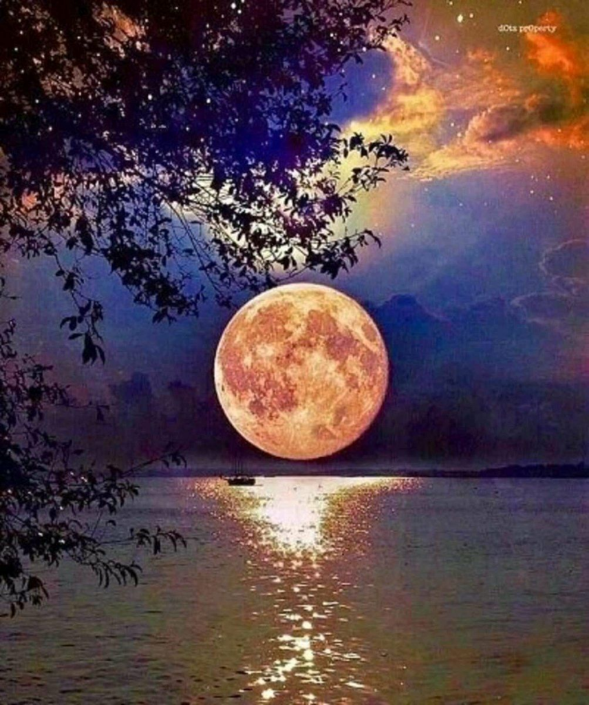 La Luna podría ser el lugar ideal para preservar un registro de toda la biodiversidad de la Tierra