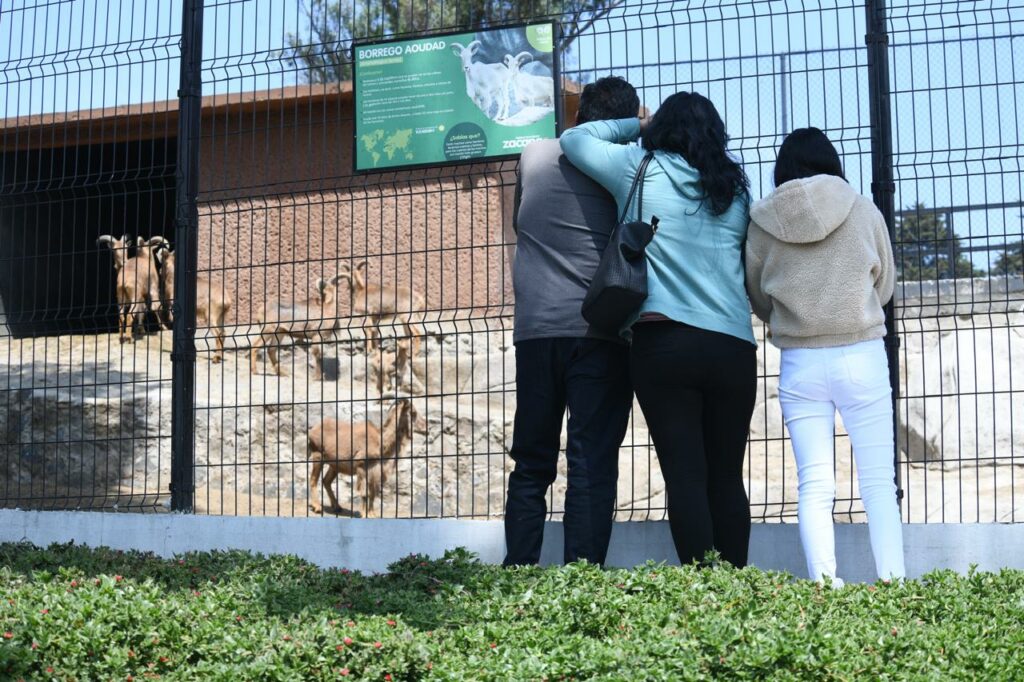 Niñas y niños de policías viven experiencias educativas en Zacango