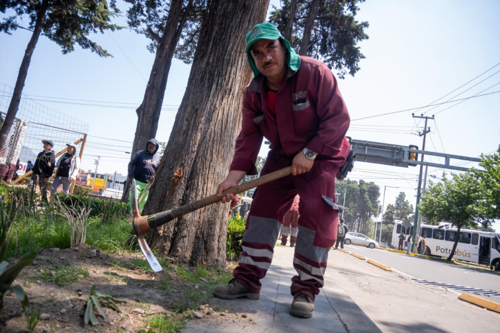Intervienen Paseo Colón en la zona de hospitales con recuperación del espacio público