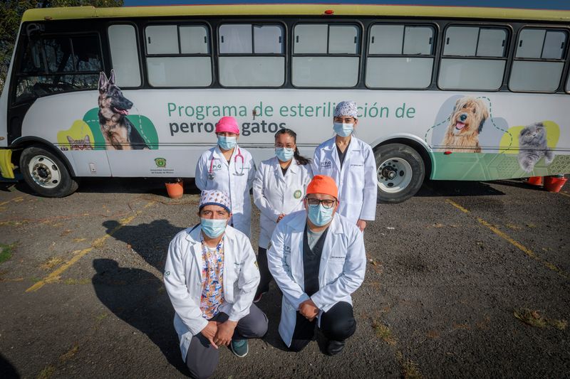 Llama la UAEMéx a esterilizar mascotas para mejorar su calidad de vida