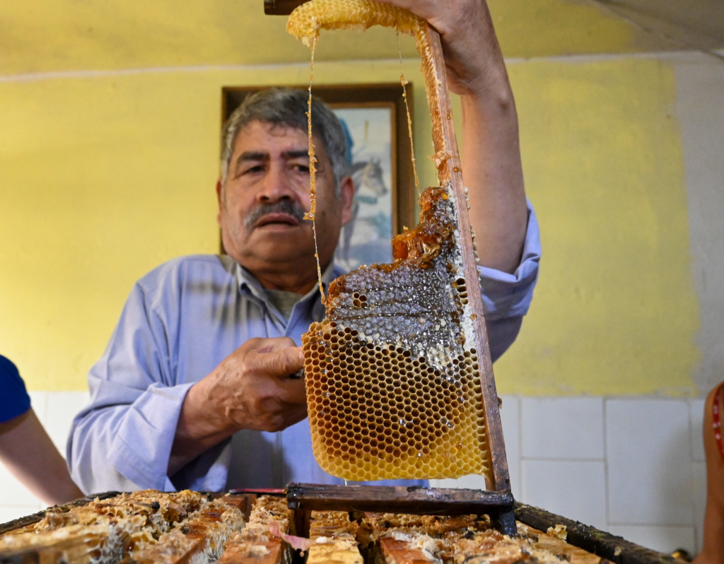 Producción sostenible de miel pura y de calidad en Toluca