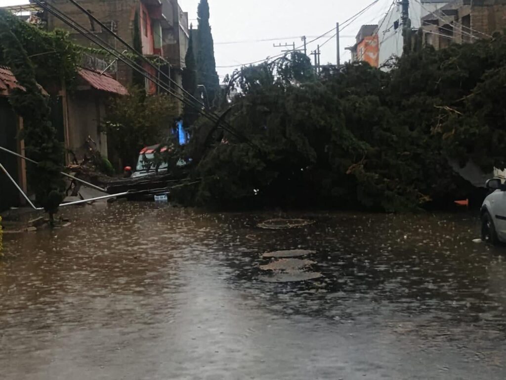 Atiende Protección Civil  Toluca reportes por lluvias y refuerza acciones preventivas
