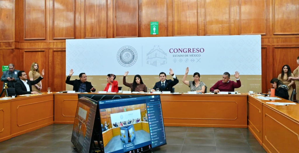 Legisladores buscan frenar crisis de animales en situación de calle con nuevas leyes