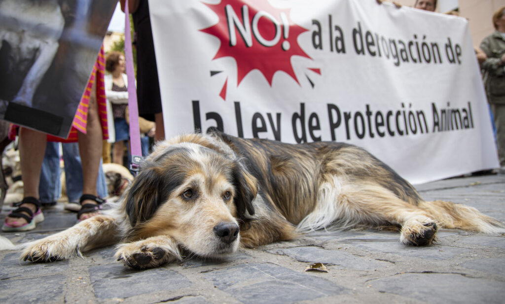 Prepara Cepanaf reforma integral para el bienestar animal en el Edoméx